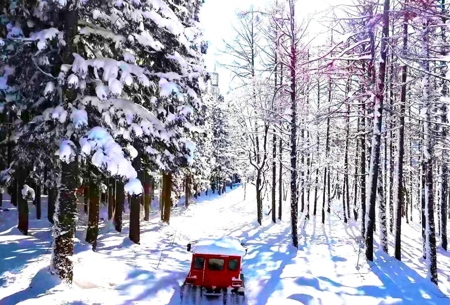 Hotel Green Plaza Hakuba Otari Екстериор снимка